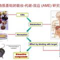 中药国际化--质量标准评价与信息技术平台研究