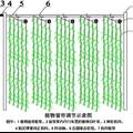 冷凝水回收微灌天然植物窗帘遮阳技术