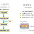 中药国际化--质量标准评价与信息技术平台研究