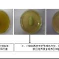 UV牙刷消毒器对口内常见致病菌消毒效果的实验研究