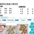 中药国际化--质量标准评价与信息技术平台研究